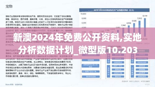 2025新澳精准免费大全,定量解答解释落实_i011.16.35